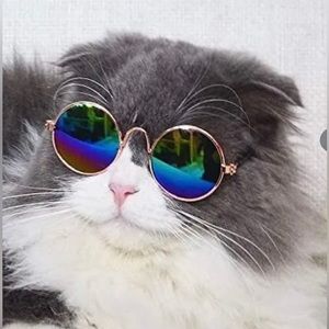 Small pet sunglasses